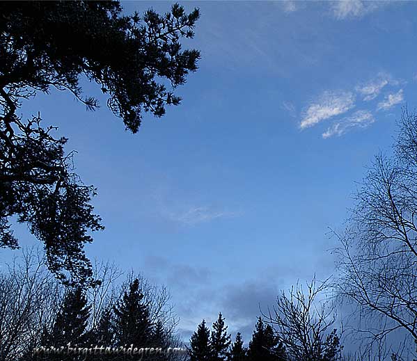 blå himmel